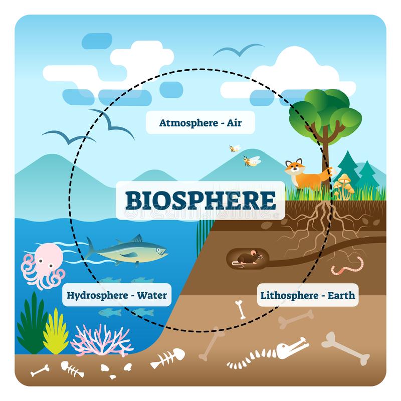 The Study of Life – BioLogically